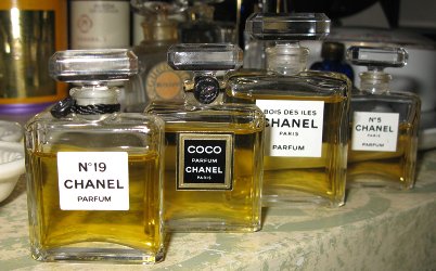 Ann S Chanel collection