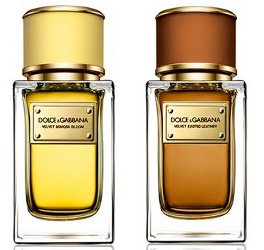 Dolce & Gabbana Velvet Mimosa Bloom & Velvet Exotic Leather