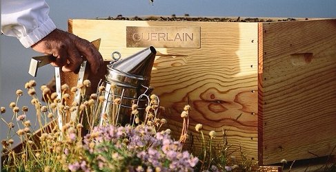 Guerlain bees
