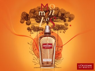 L'Occitane Araucária Poente
