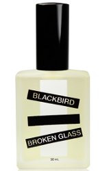 Blackbird Broken Glass