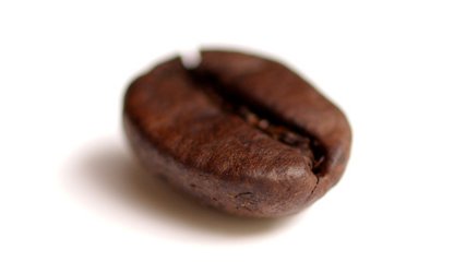 coffee bean