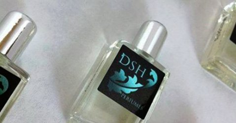 Dawn Spencer Hurwitz general image