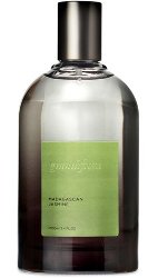 Grandiflora Madagascan Jasmine