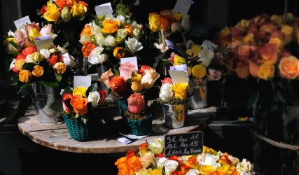 Spring flowers of Montmartre