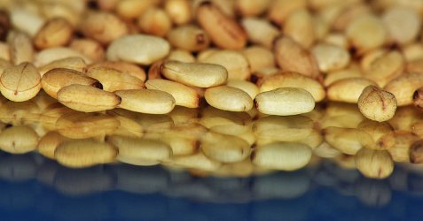 sesame seeds on a mirror