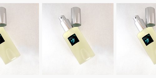 Dawn Spencer Hurwitz Albino