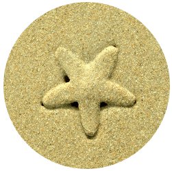 starfish