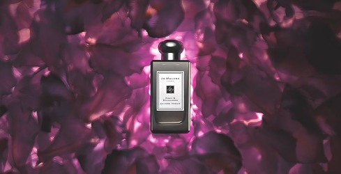 Jo Malone Orris & Sandalwood Cologne Intense