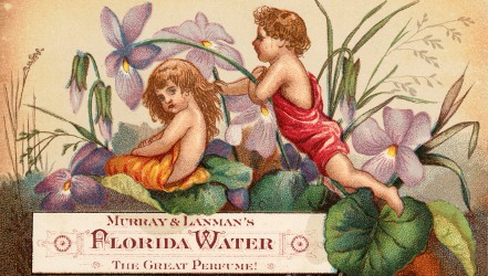 Florida Water