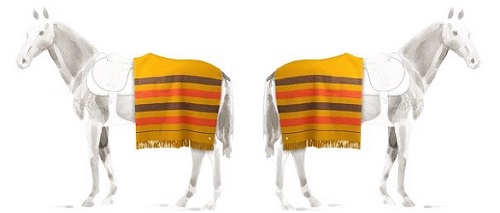 Hermès wool horse rugs