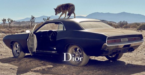 Car and wolf for Dior Sauvage