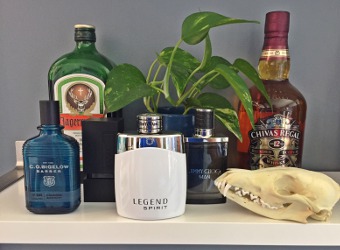 Inside the Perfume Cabinet ~ Andrew Shayde