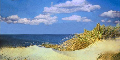 Aroma Sanctum Beachscape brand image