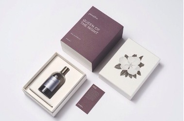 Grandiflora Queen of the Night