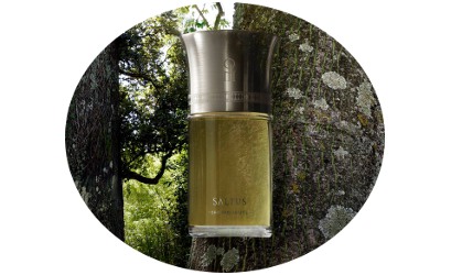 Liquides Imaginaires Saltus