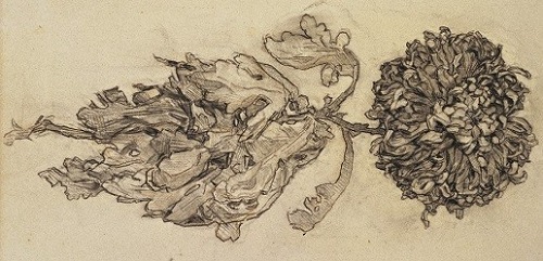 chyrsanthemum by Piet Mondrian