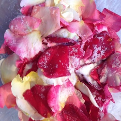 rose petals with sugar