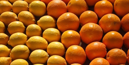 Fête du Citron, Menton