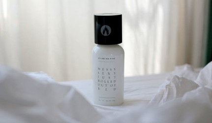 A Lab On Fire Messy Sexy Just Rolled Out of Bed