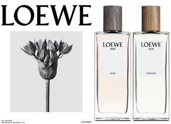 Loewe 001 brand image
