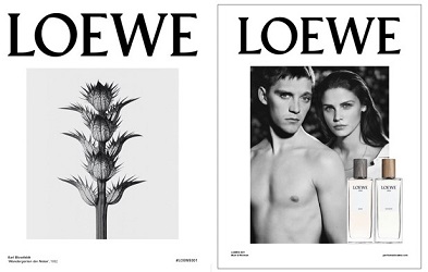 Loewe 001 Man brand images
