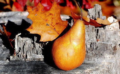 pear