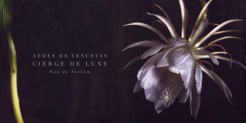 Aedes de Venustas Cierge de Lune brand image