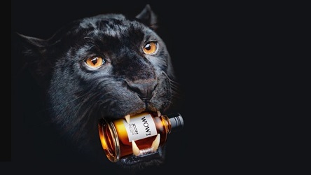 Joop! WOW! brand image