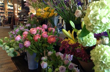 Bloke Botanical, Portland