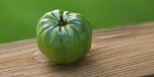Green Tomato