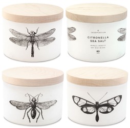 Skeem 3-wick Citronella candles