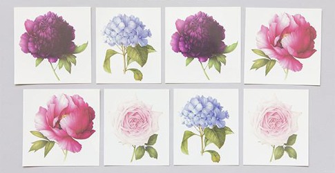 Tattly scented Perennial Set