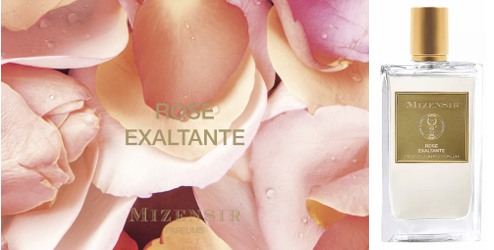 Mizensir Rose Exaltante