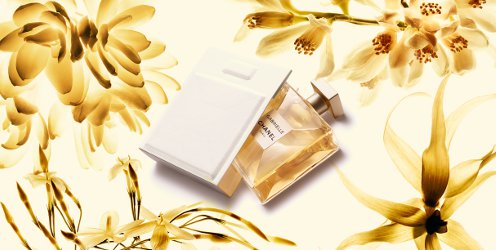 Chanel Gabrielle, brand image