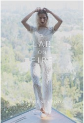 A Lab On Fire California Snow