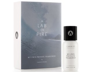 A Lab On Fire My Own Private Teahupo‘o