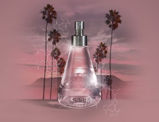 Nomenclature Holy_wood