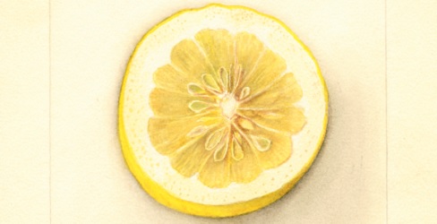lemon