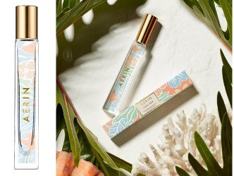 Aerin Coral Palm